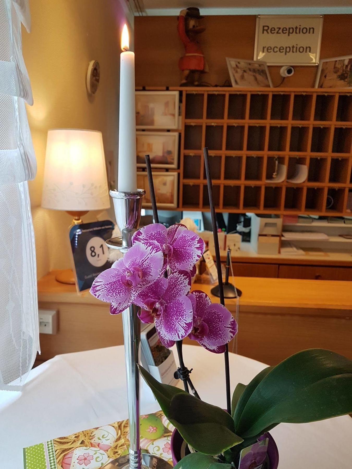 Hotel & Restaurant Wilhelm Von Nassau ديتس المظهر الخارجي الصورة